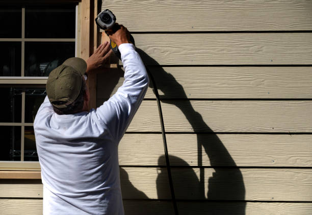 Best Stone Veneer Siding  in Utica, MI