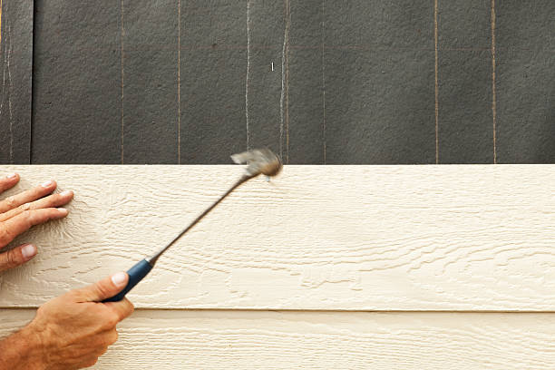 Best Vinyl Siding Installation  in Utica, MI